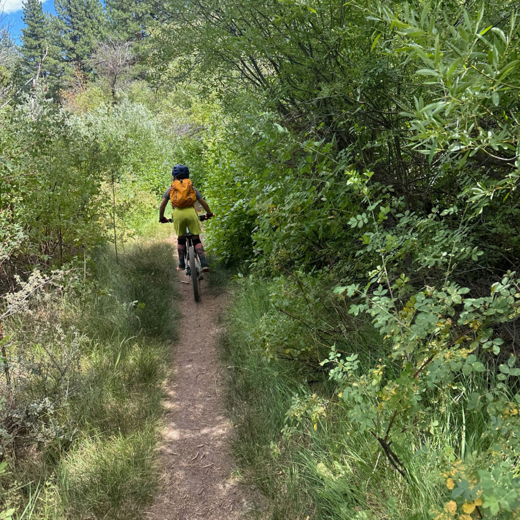 Reno summer camps for kids