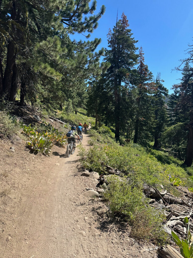 Kids riding trails in Reno at Silver State Senders MTB camp