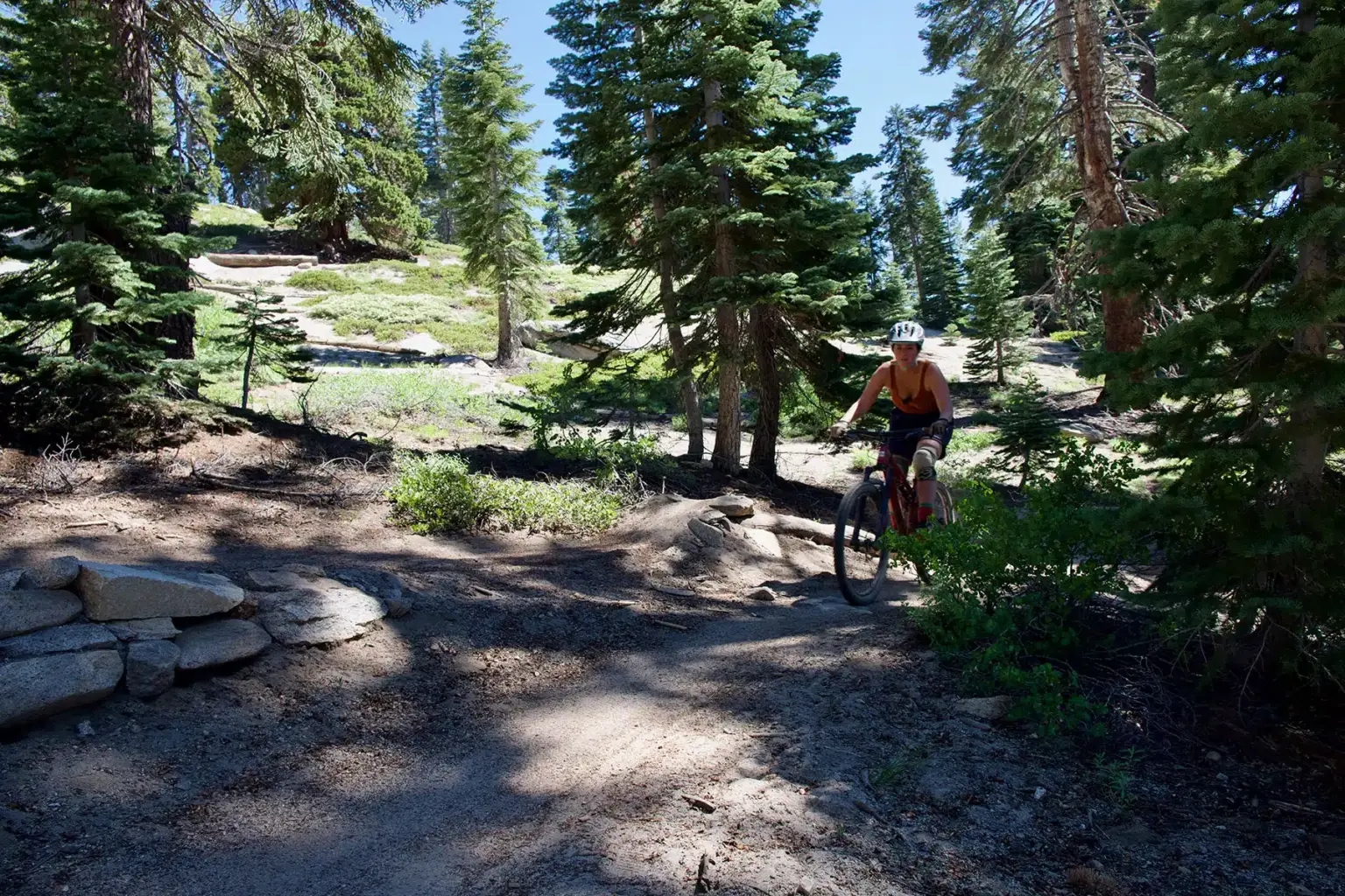 Mountain Bike Lessons & Coaching for adults in Lake Tahoe & Reno